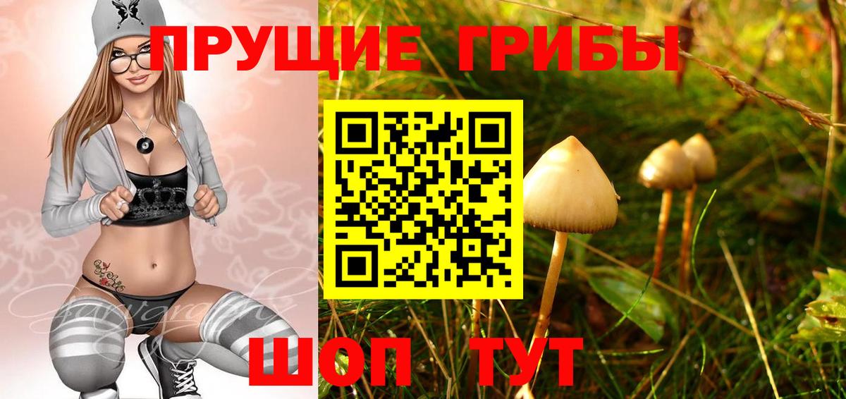 Псилоцибиновые грибы прущие грибы Балаково