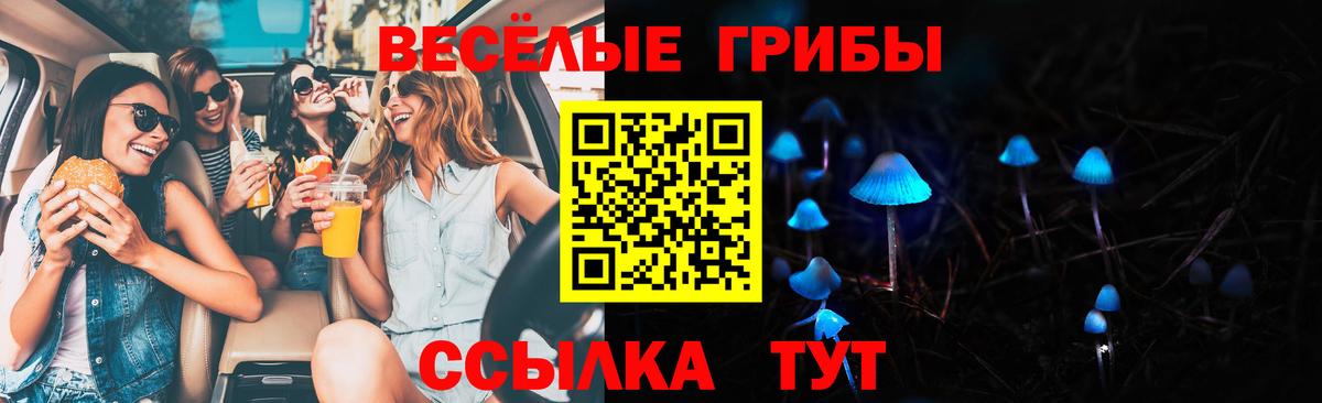 Псилоцибиновые грибы Psilocybe  Псилоцибиновые грибы GOLDEN TEACHER  Балаково  Вход с VPN 
